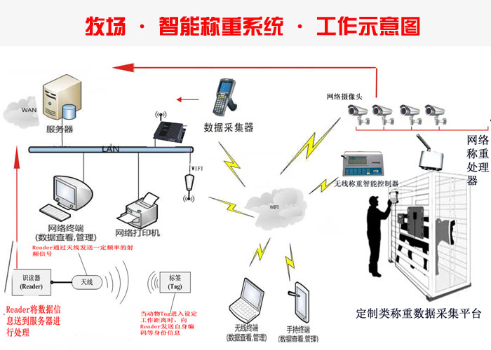 B(yng)ֳ(chng)RFID ܷQعϵy(tng)